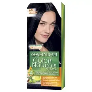 Garnier NATR Hair Dye N2.1