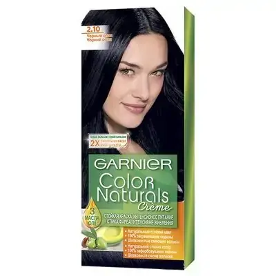 Garnier NATR Hair Dye N2.1