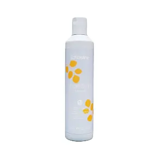 Echosline Moisturizing Shampoo 300 ml