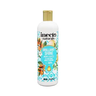 Шампунь ARGAN 1904 Inecto Naturals