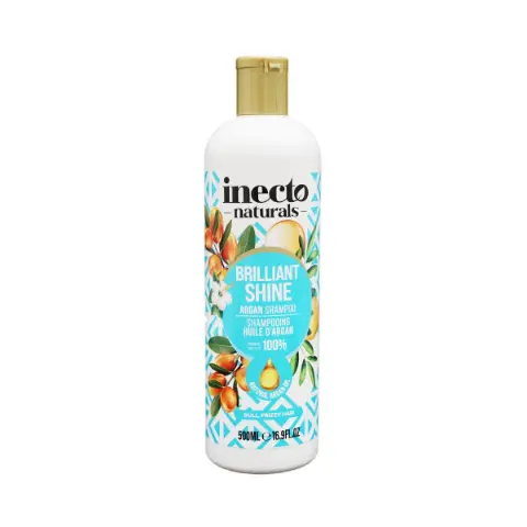 Шампунь ARGAN 1904 Inecto Naturals